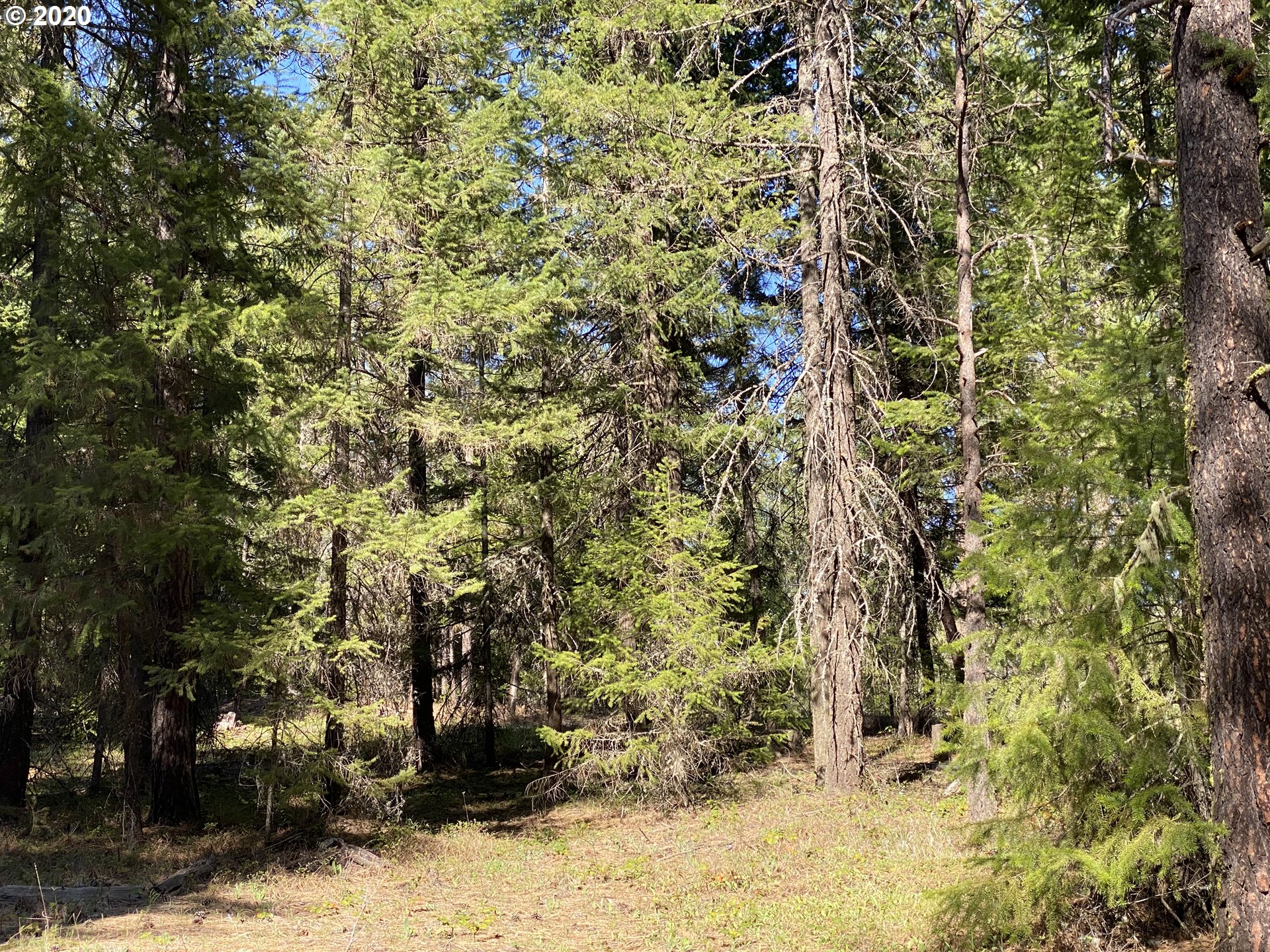 718 Boss Road Goldendale, WA 98620 - Photo 4 of 11 Gallery Image 4