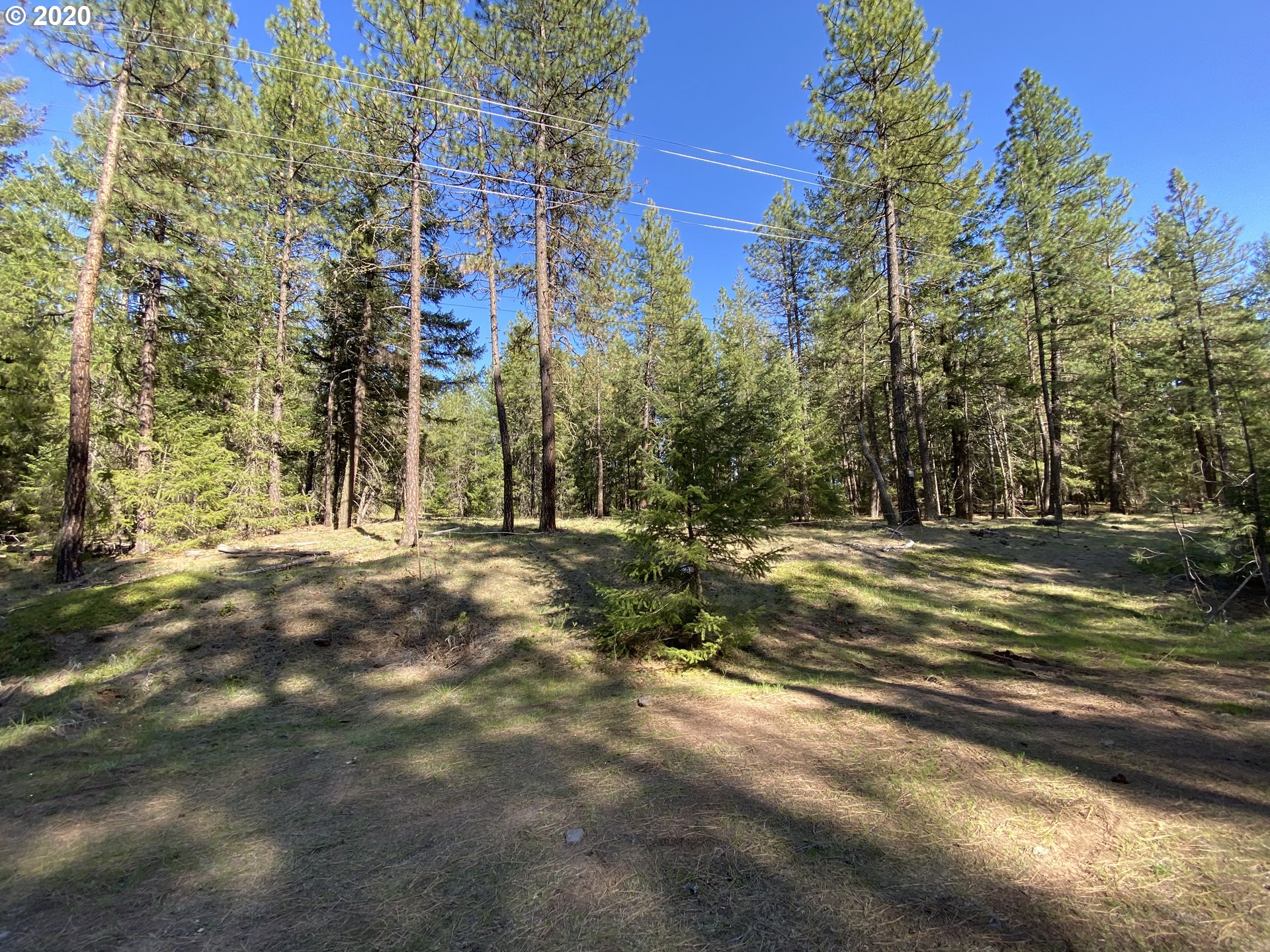 718 Boss Road Goldendale, WA 98620 - Photo 6 of 11 Gallery Image 6