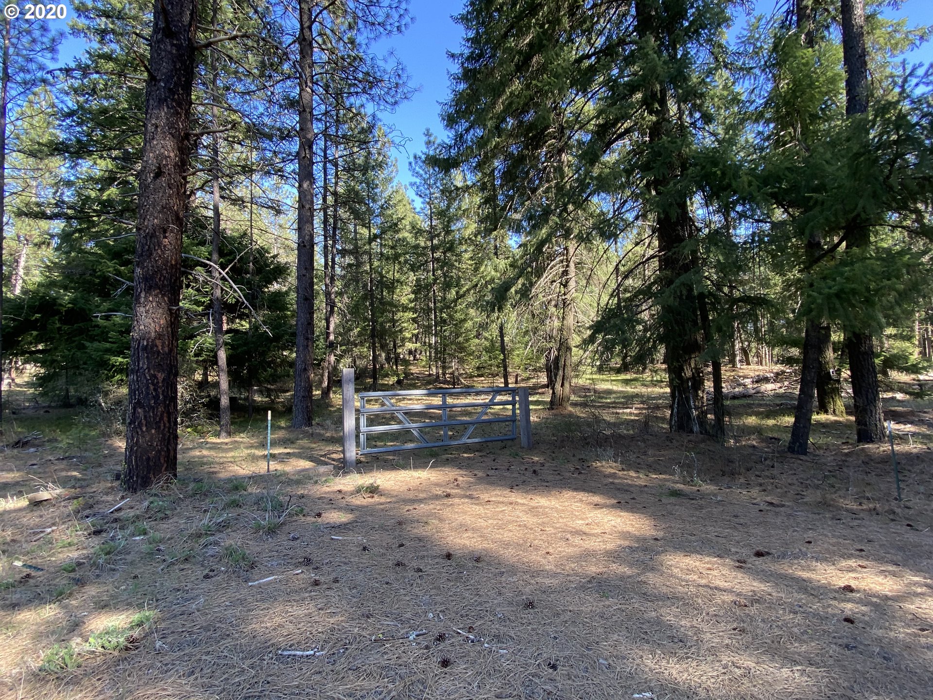 718 Boss Road Goldendale, WA 98620 - Photo 7 of 11 Gallery Image 7