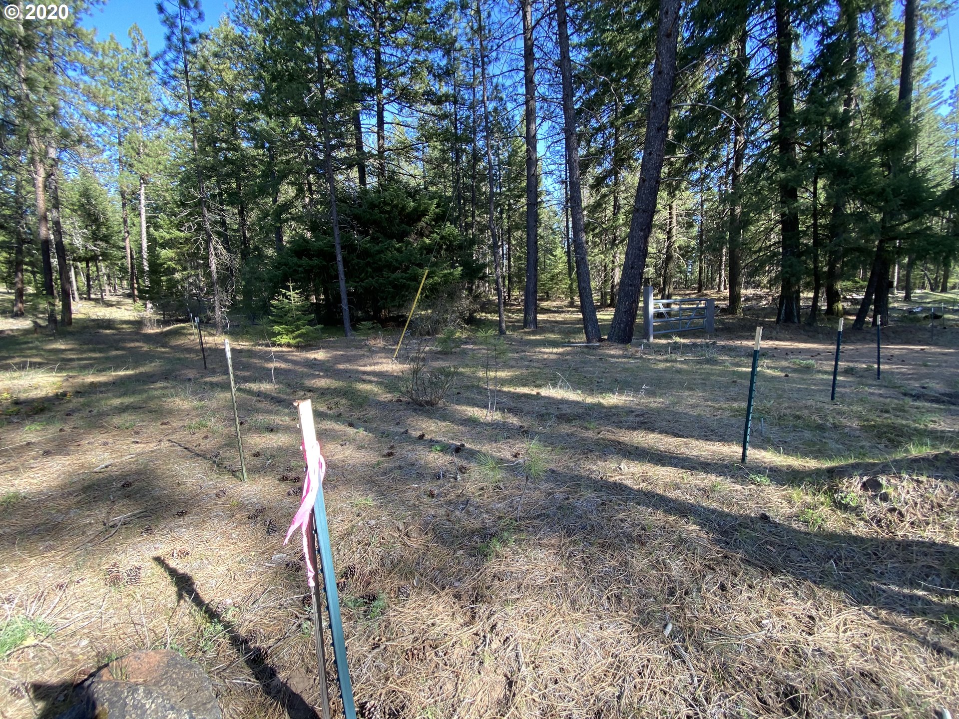 718 Boss Road Goldendale, WA 98620 - Photo 8 of 11 Gallery Image 8
