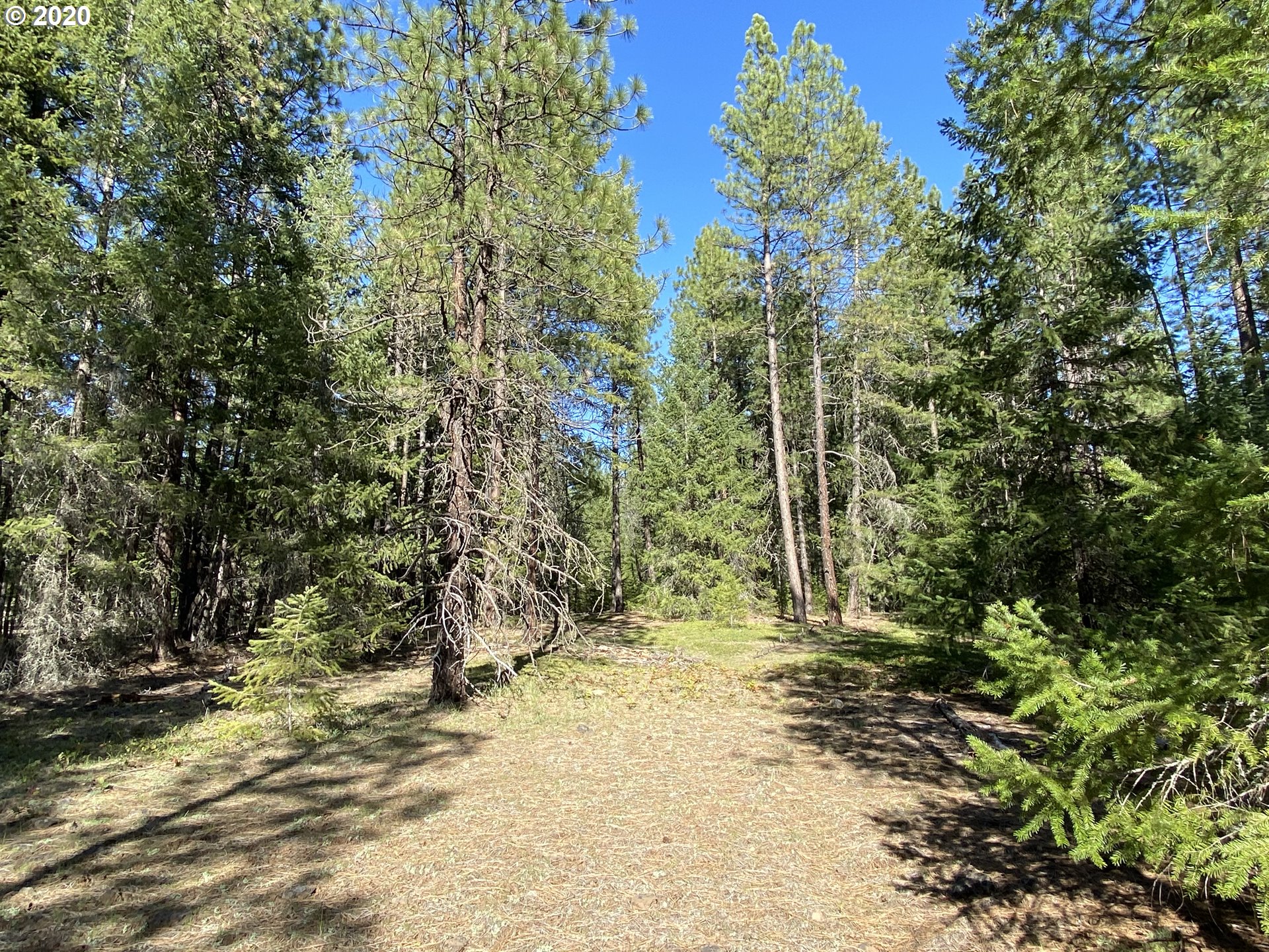 718 Boss Road Goldendale, WA 98620 - Photo 10 of 11 Gallery Image 10