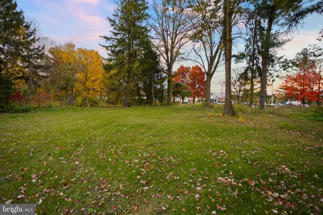 a yard with trees in the background