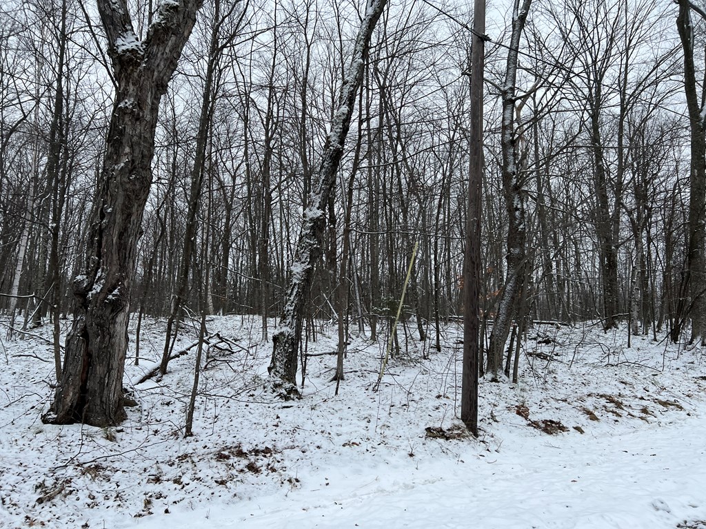 Tbd Juddville Hill Road Fish Creek, WI 54212 - Photo 29 of 31