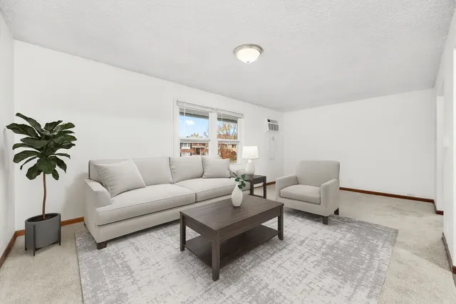 $1,550 | 609 East 3rd Street, Unit 5, Lockport, IL 60441