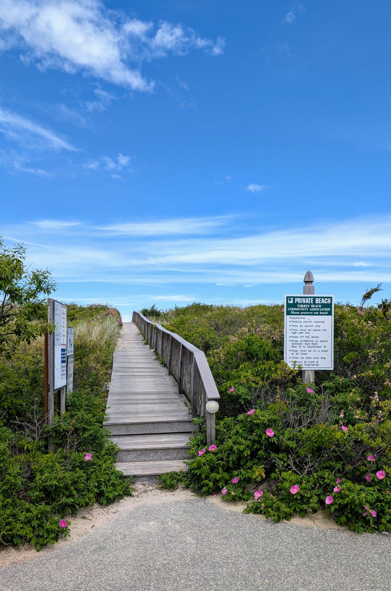 33 Torrey Road East Sandwich, MA 02537 - Photo 35 of 39 a view of a yard and ocean view