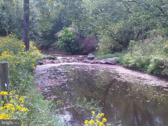 7122 Dudie Road Marshall, VA 20115 - Photo 12 of 14 River View
