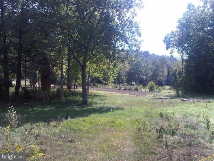 7122 Dudie Road Marshall, VA 20115 - Photo 13 of 14 Pasture