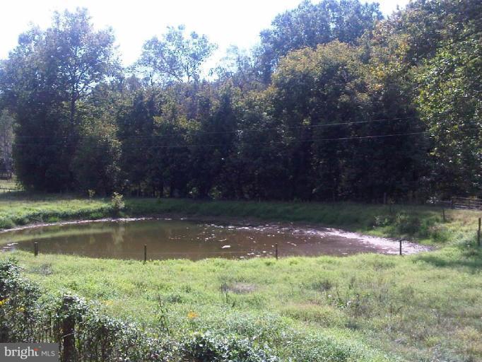 7122 Dudie Road Marshall, VA 20115 - Photo 14 of 14 pond behind barn