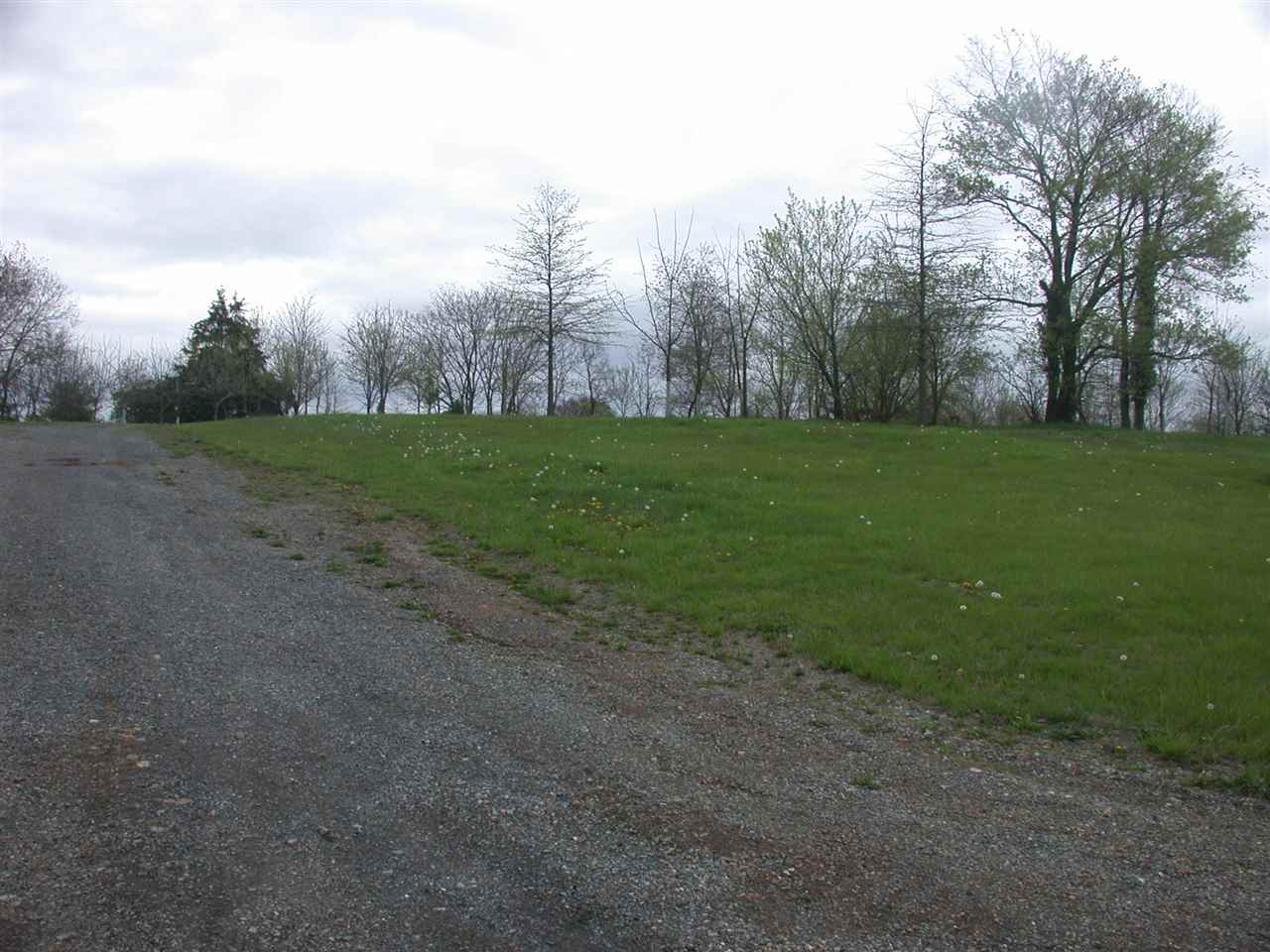 Tbd Willow Spout Road Fort Defiance, VA 24437 - Photo 1 of 4 Gallery Image 1
