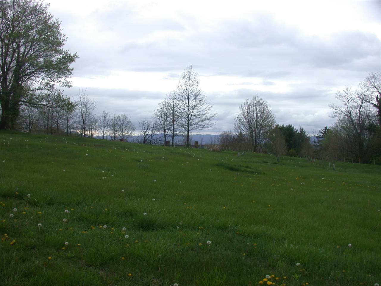 Tbd Willow Spout Road Fort Defiance, VA 24437 - Photo 2 of 4 Gallery Image 2