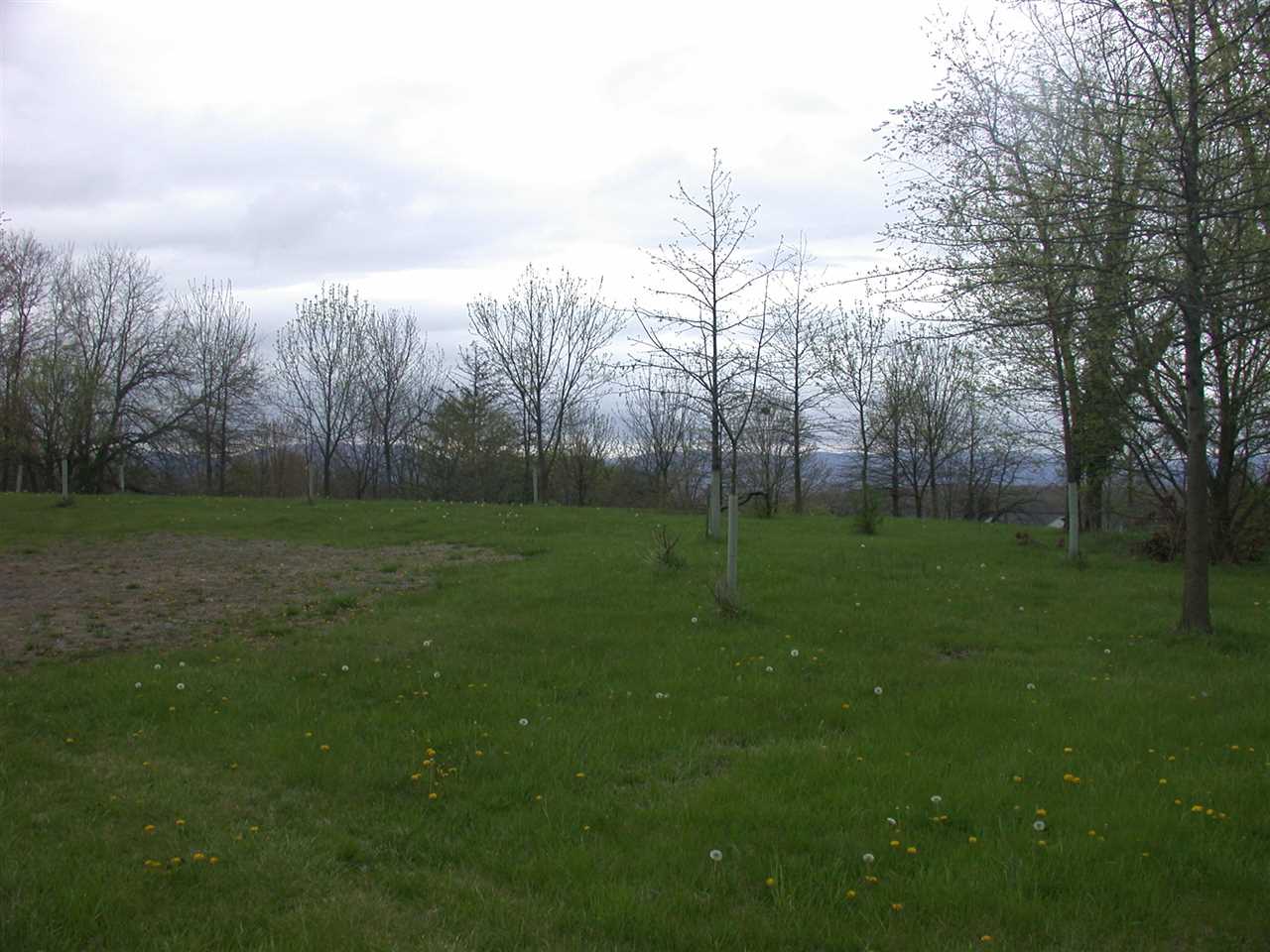 Tbd Willow Spout Road Fort Defiance, VA 24437 - Photo 3 of 4 Gallery Image 3