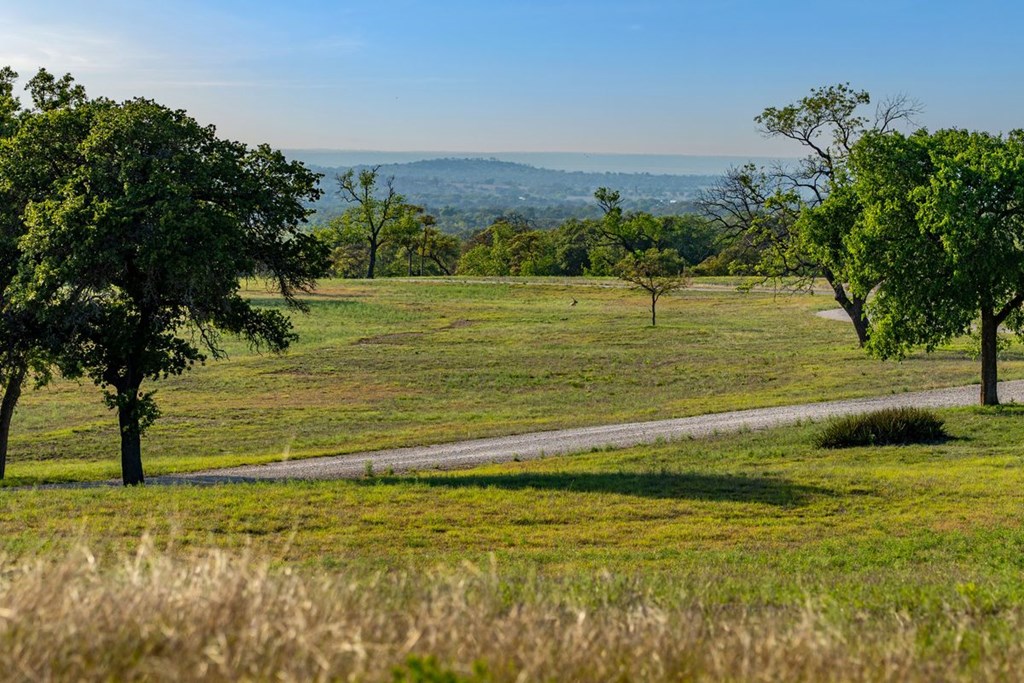 862 Grape Creek Road Fredericksburg, TX 78624 - Photo 5 of 91