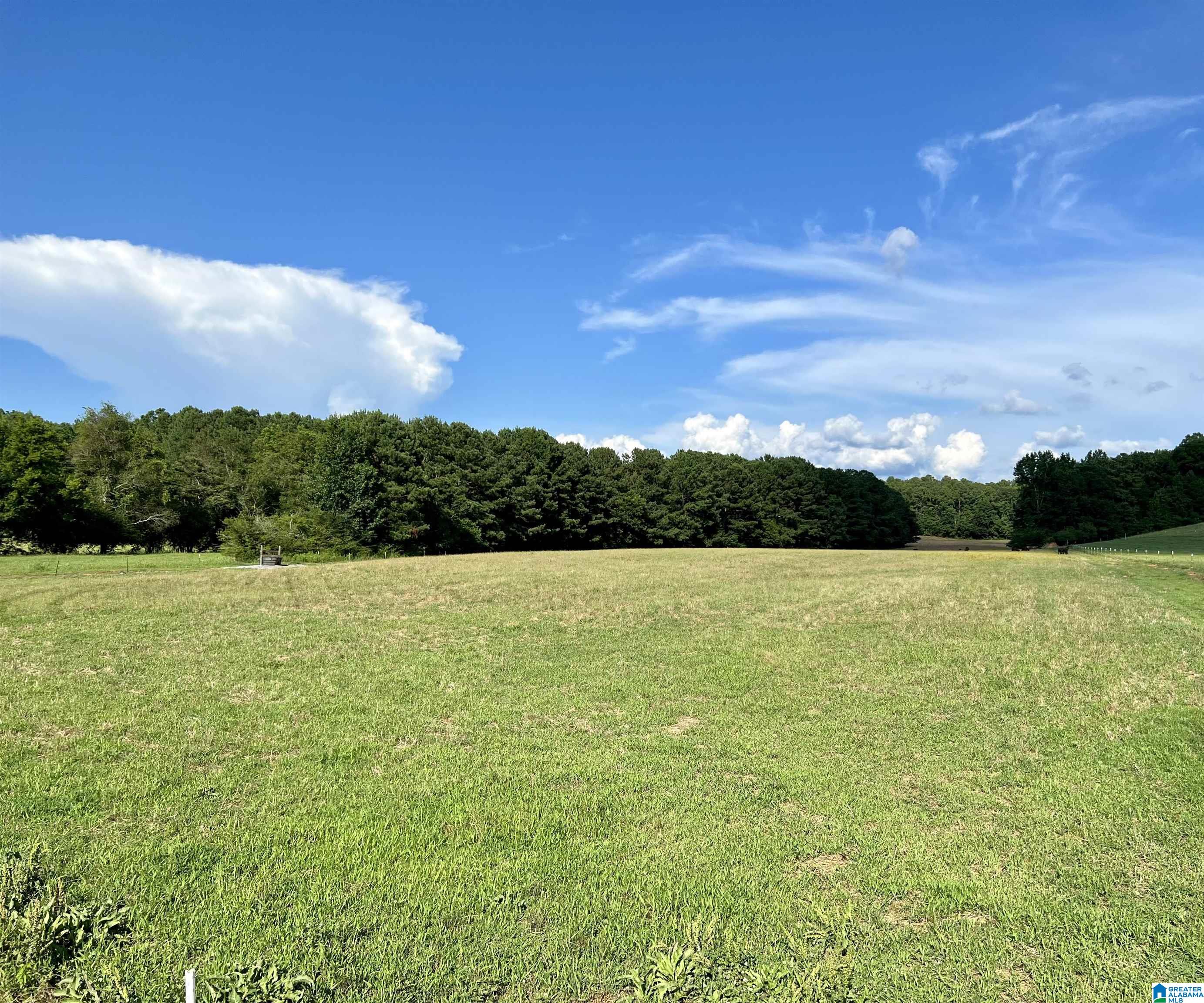 1515 Kelly Ranch Road, Unit 138 ACRES / Talladega, AL 35160 - Photo 5 of 42