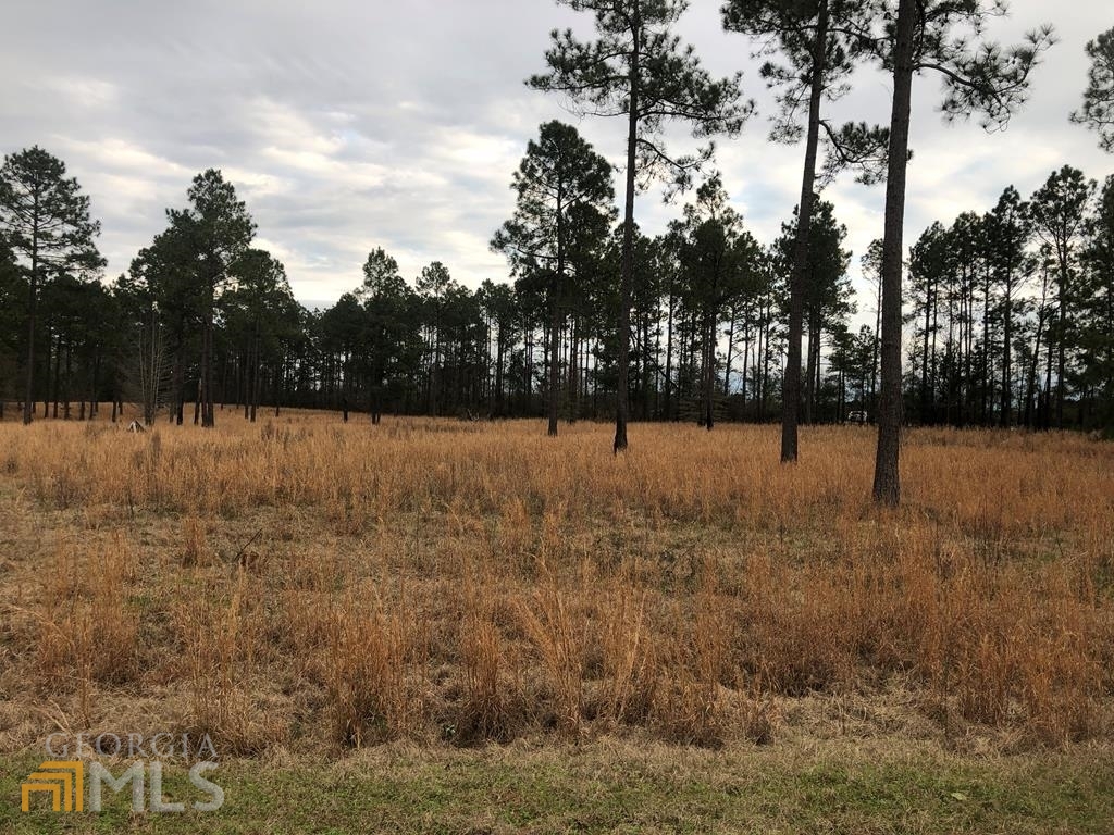 0 Walke Dairy/spearhead Road Dublin, GA 31021 - Photo 1 of 1 Gallery Image 1