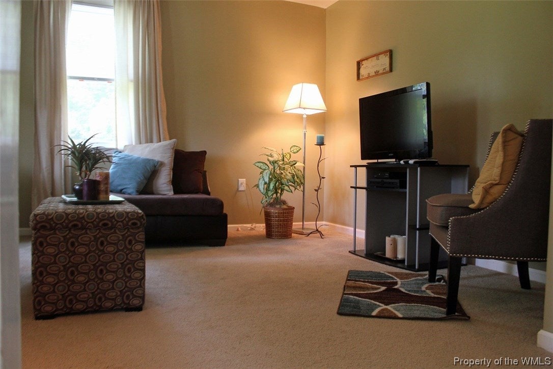 16101 Cooks Mill Road Lanexa, VA 23089 - Photo 4 of 14 Gallery Image 4
