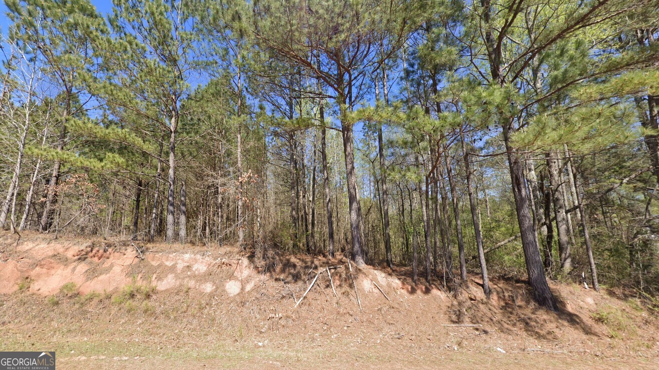 609 Leonard Road LaGrange, GA 30241 - Photo 2 of 6 a view of covered with snow