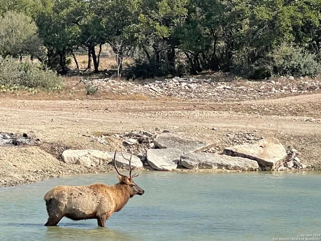 a view of ocean view and beach