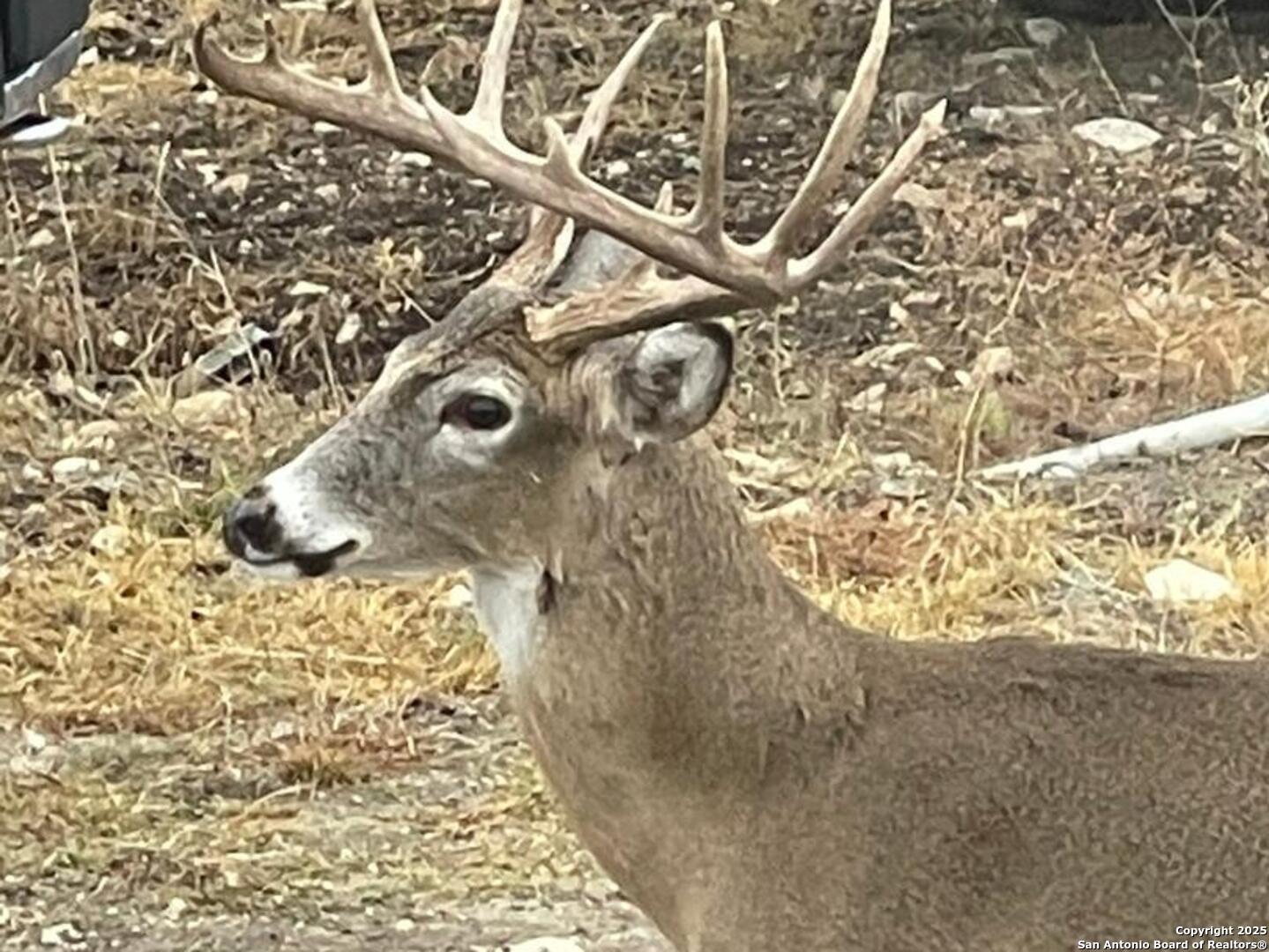 988 Sd 71600 Rocksprings, TX 78880 - Photo 4 of 25 a bathroom with a shower