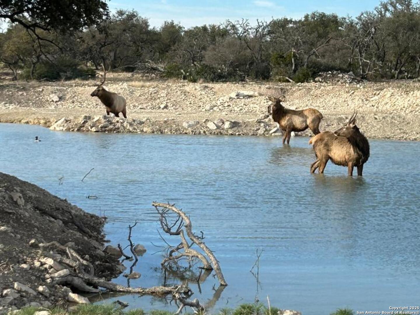 988 Sd 71600 Rocksprings, TX 78880 - Photo 5 of 25 a view of a yard with snow