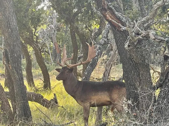 a view of a chairs and table in a backyard
