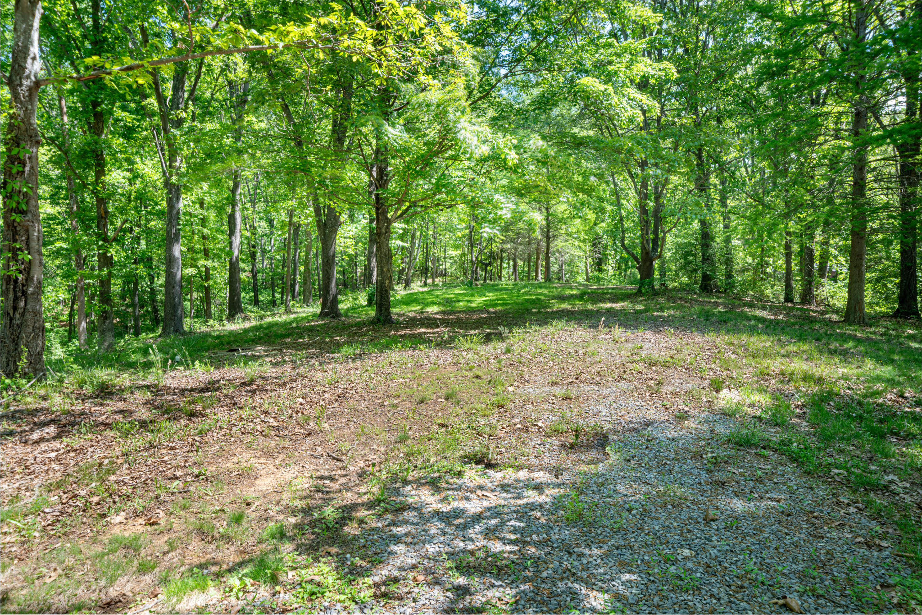 1230 Old Hollow Road Buchanan, VA 24066 - Photo 25 of 30 Yard