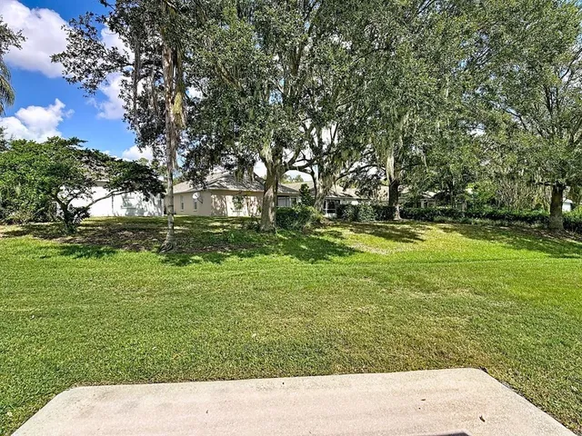 a picture of a yard with a tree
