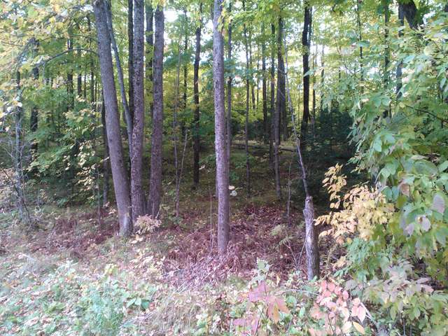 Lot 1 Pine Lake Road Rhinelander, WI 54501 - Photo 10 of 10 Gallery Image 10