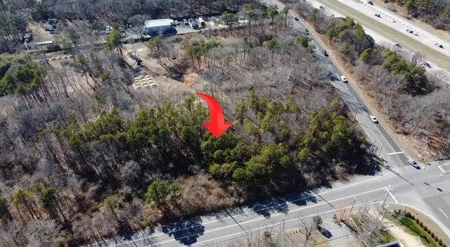 a view of a yard with plants