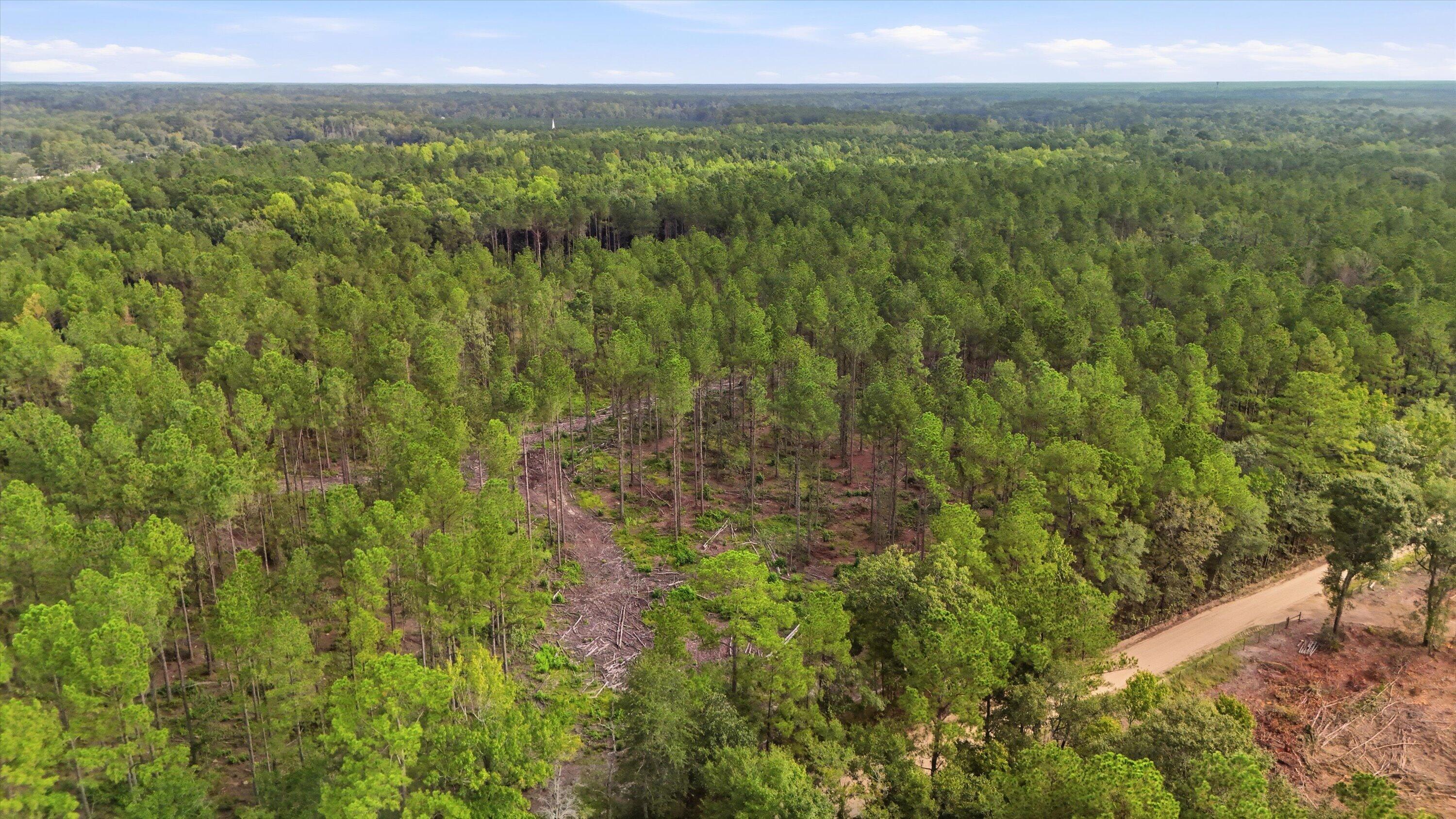 0 Barracada Road Walterboro, SC 29488 - Photo 19 of 26 19-017_DJI_20260910095419_0026_D