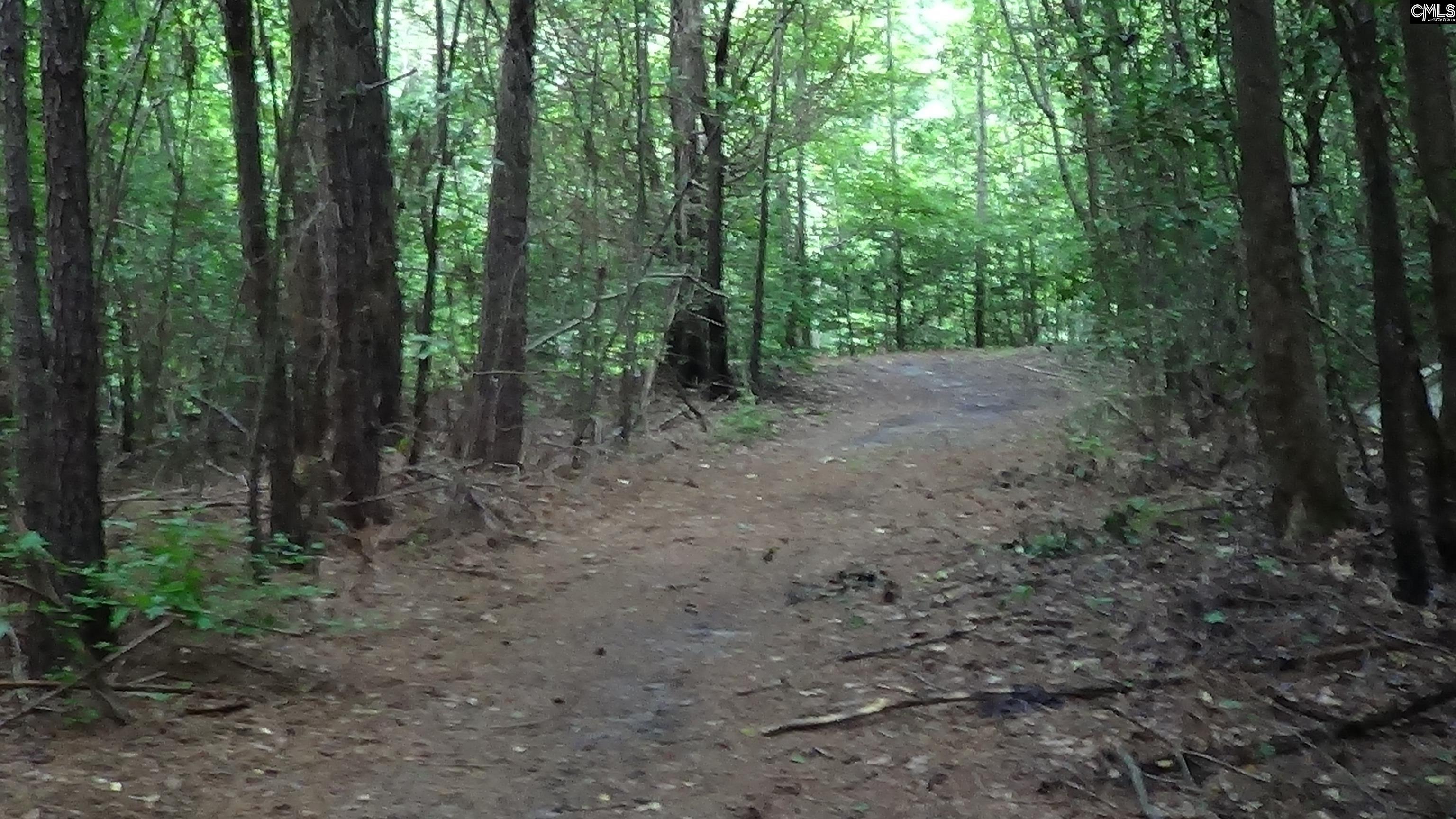 2815 Highway 1 Elgin, SC 29045 - Photo 6 of 17