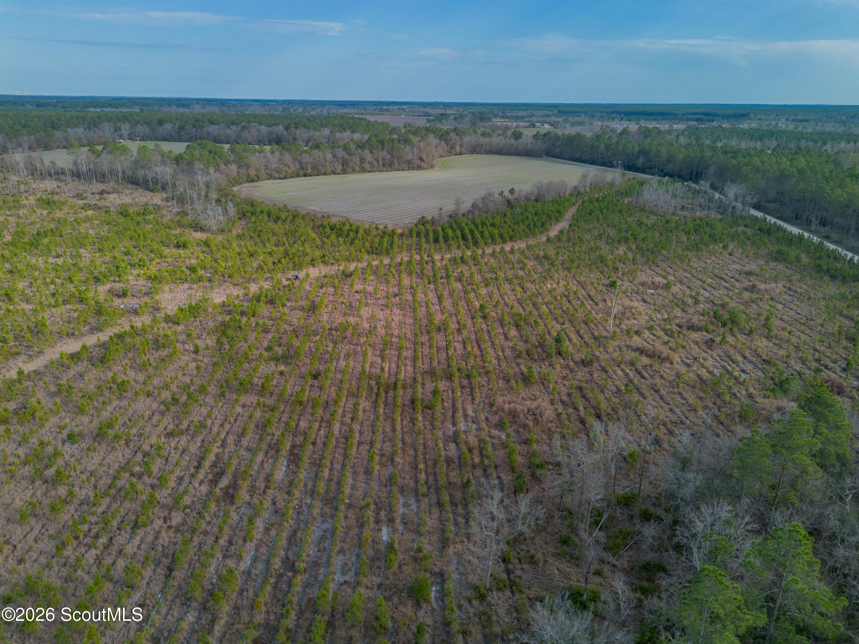 0 Reddish Road Odum, GA 31555 - Photo 26 of 46 230-AC-REDDISH-ODUM-25