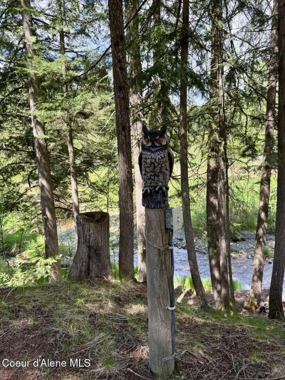 8213 Rapid Lightning Road Sandpoint, ID 83864 - Photo 27 of 40 Overlooking Creek