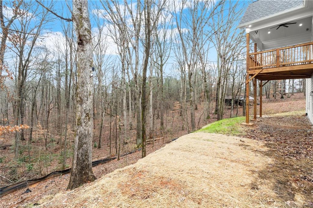 2020 Darby Road Waleska, GA 30183 - Photo 49 of 49 a view of a backyard of the house