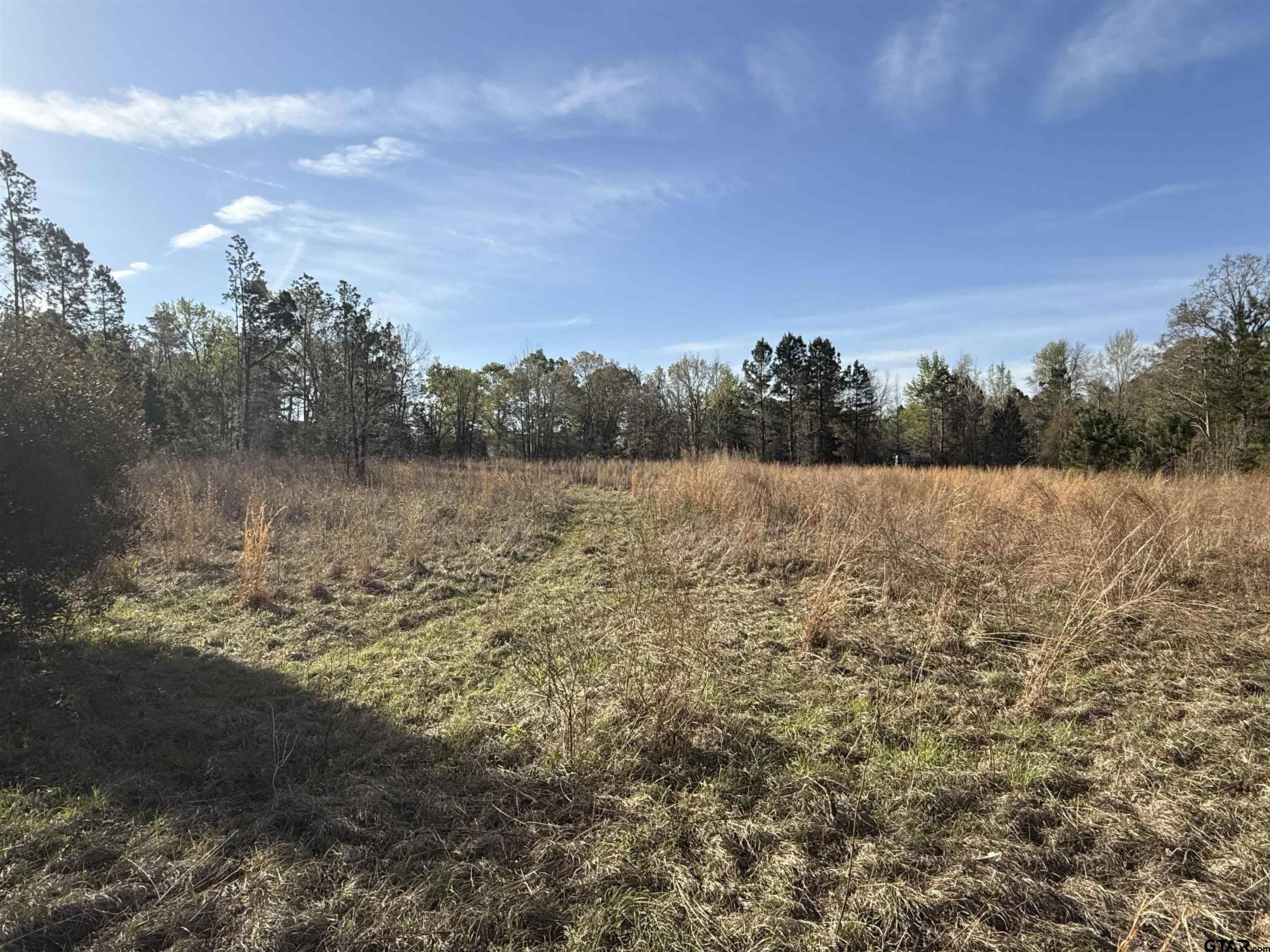 15830 Shady Creek Road Tyler, TX 75705 - Photo 7 of 18 a view of lake view and mountain