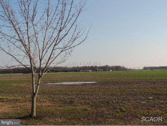 5429 Wesley Church Road Crapo, MD 21626 - Photo 3 of 22 Gallery Image 3