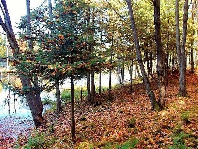 On Palmquist Road Watersmeet, MI 49969 - Photo 4 of 7 Gallery Image 4