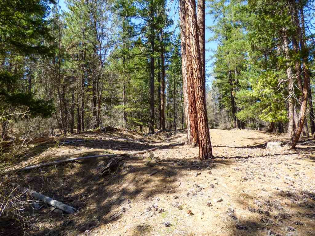 0 Culp Way Fort Jones, CA 96032 - Photo 2 of 8 Gallery Image 2