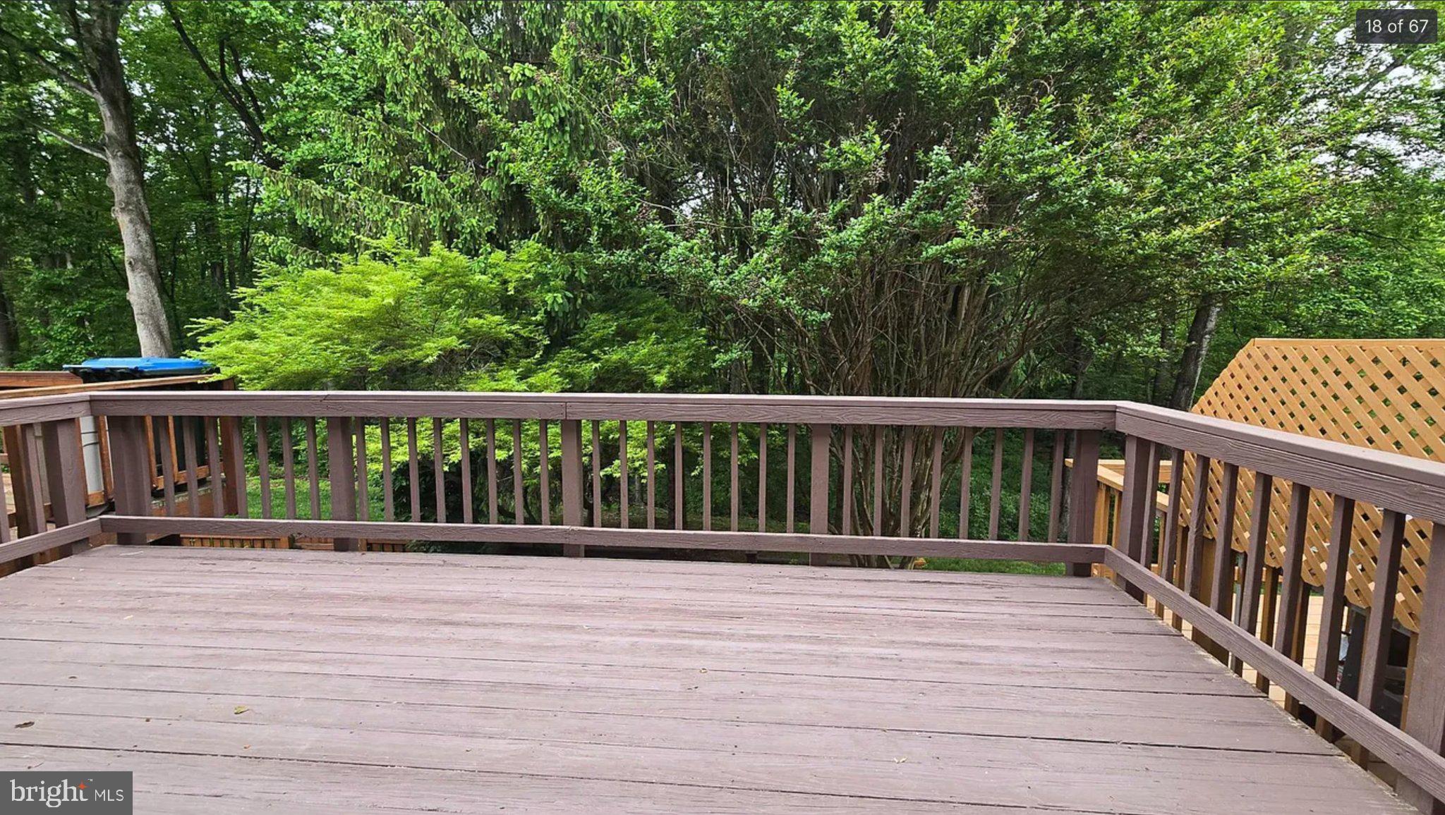 3906 Valley Ridge Drive Fairfax, VA 22033 - Photo 18 of 58 Serene deck with lush greenery view.