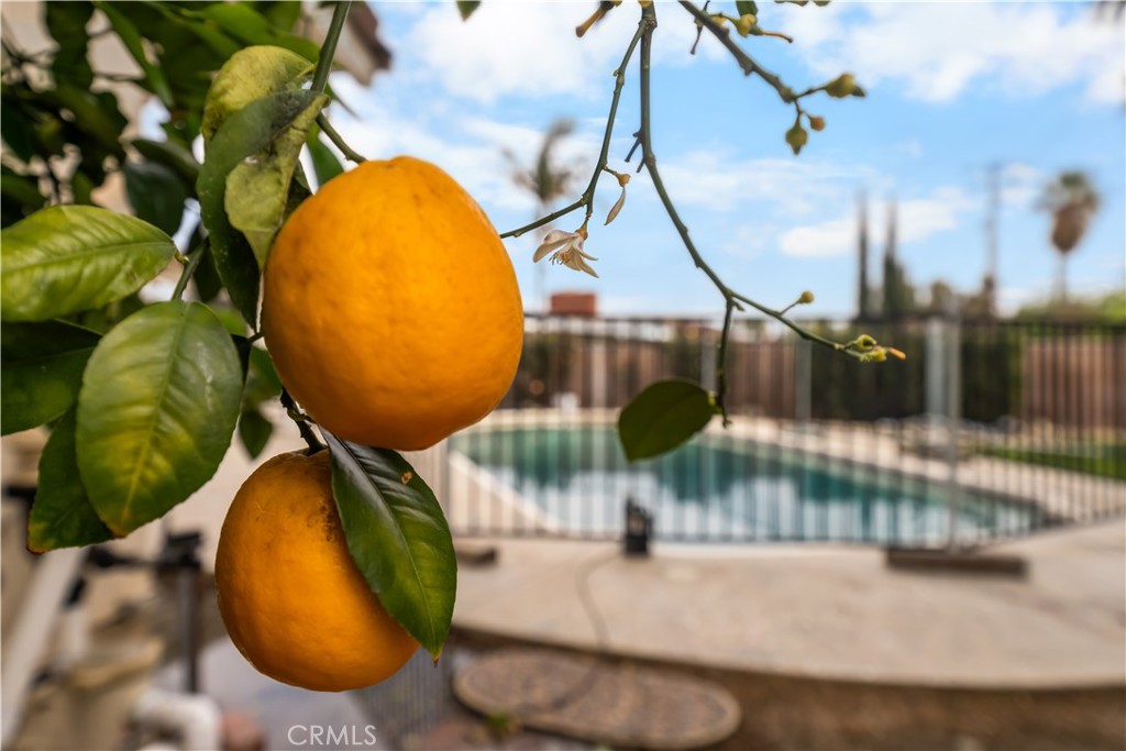 5818 North Sycamore Avenue Rialto, CA 92377 - Photo 26 of 33