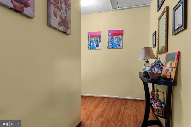 a view of a hallway with storage and utility