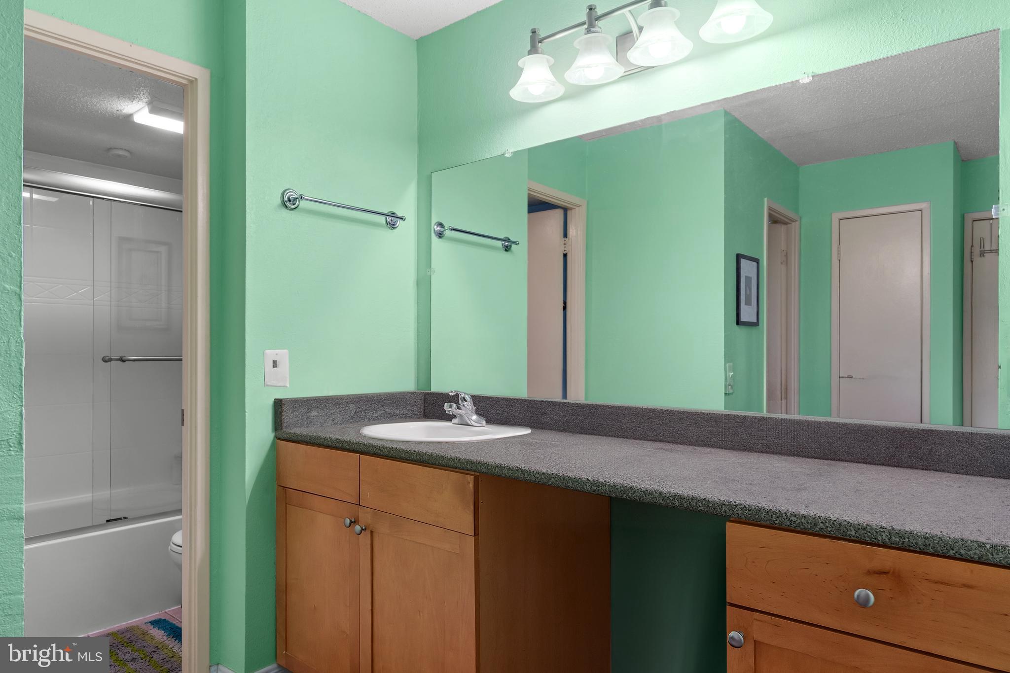 75 South Reynolds Street, Unit 101 Alexandria, VA 22304 - Photo 18 of 42 a bathroom with a sink and a mirror