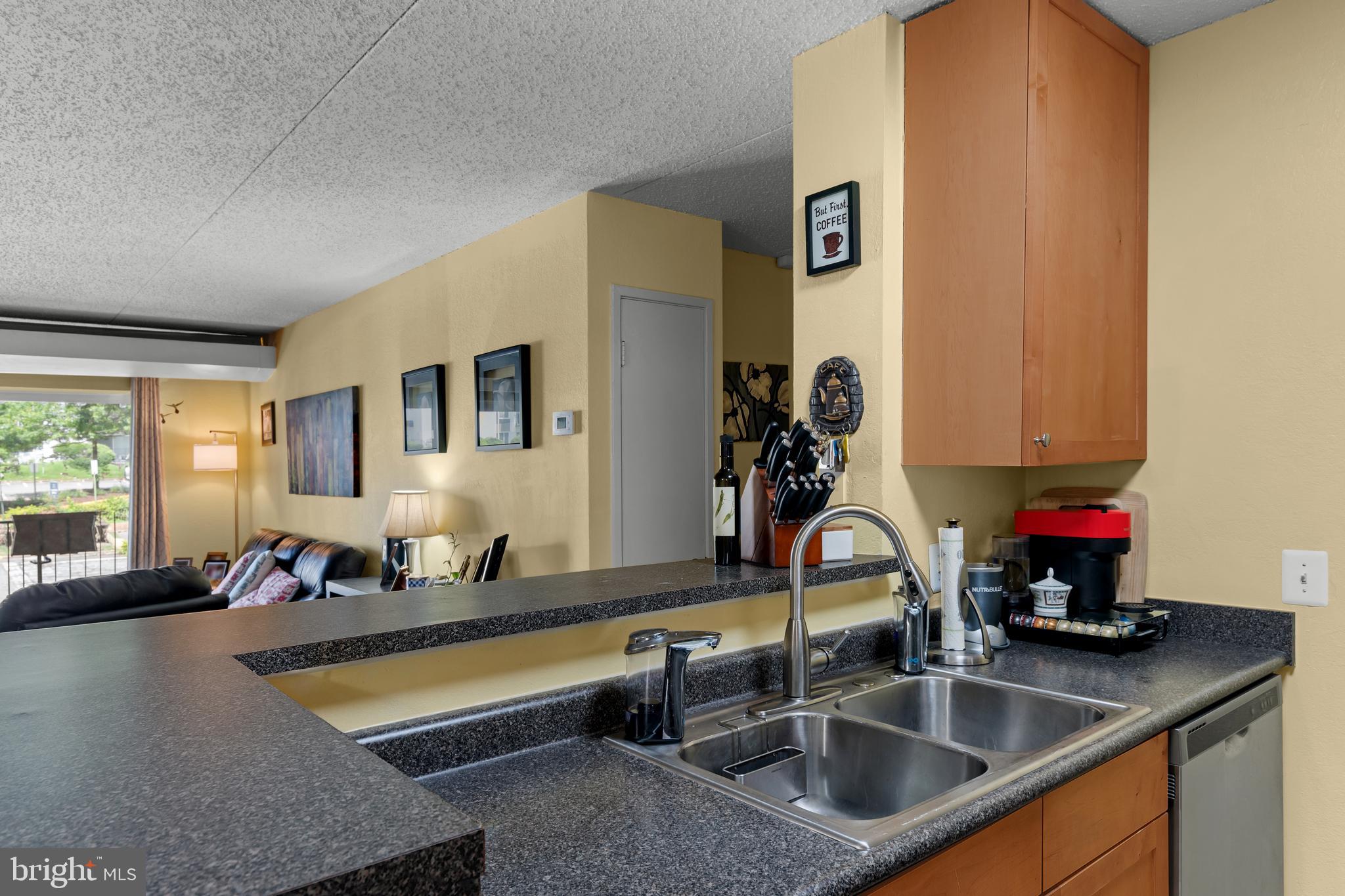 75 South Reynolds Street, Unit 101 Alexandria, VA 22304 - Photo 6 of 38 a kitchen with a sink and a potted plant with wooden floor