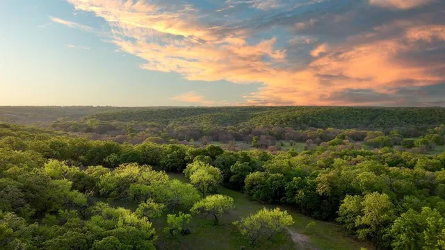 an aerial view of houses covered in trees
