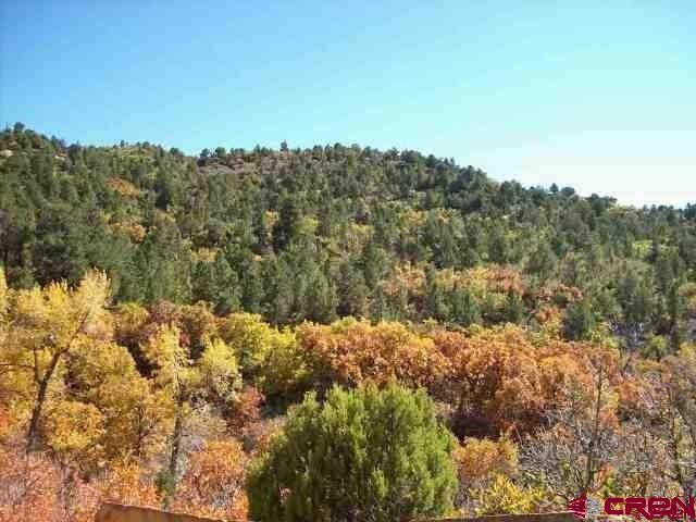 R40 R40 Lane Cedaredge, CO 81413 - Photo 1 of 35 Gallery Image 1