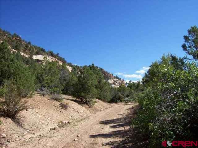 R40 R40 Lane Cedaredge, CO 81413 - Photo 17 of 35 Gallery Image 17
