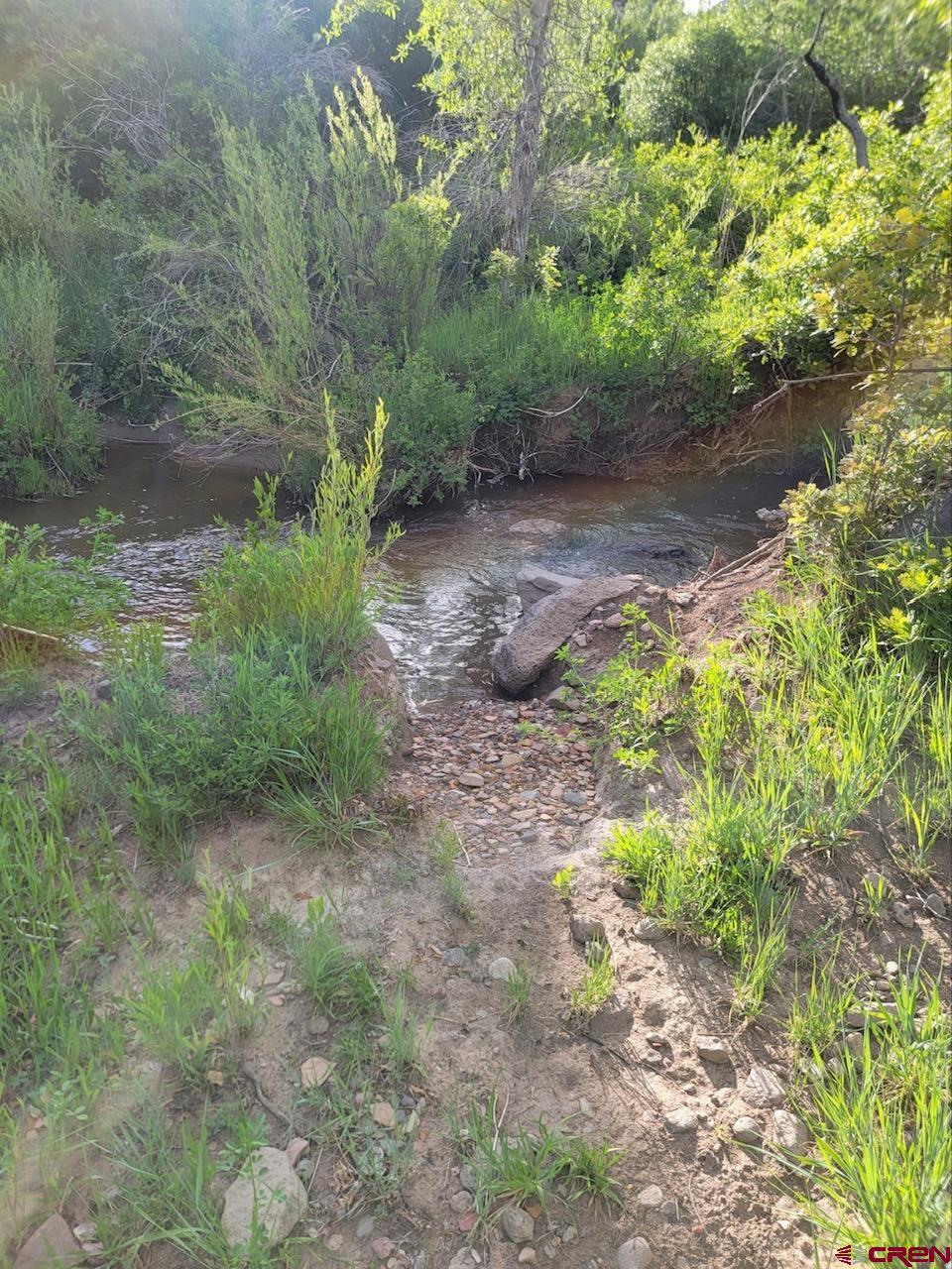 R40 R40 Lane Cedaredge, CO 81413 - Photo 25 of 35 Gallery Image 25