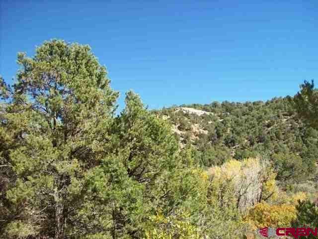 R40 R40 Lane Cedaredge, CO 81413 - Photo 3 of 35 Gallery Image 3