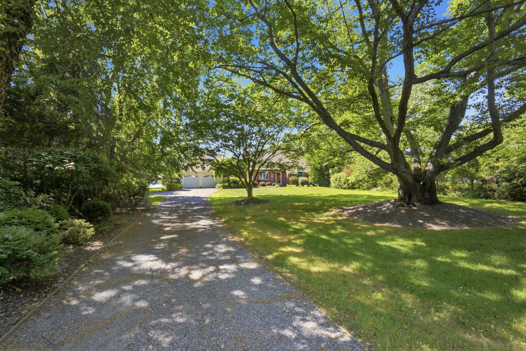 202 Royston Shores Road Chestertown, MD 21620 - Photo 2 of 72 Tranquil driveway with lush trees.