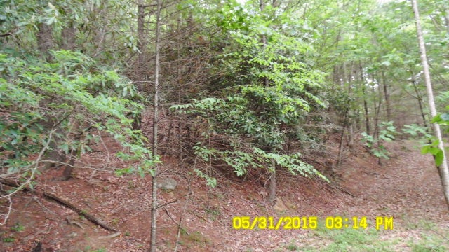 Tbn Peach Bottom Road Independence, VA 24348 - Photo 1 of 5 Gallery Image 1
