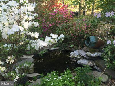 10915 Bond Road Adelphi, MD 20783 - Photo 24 of 30 Tranquil pond
